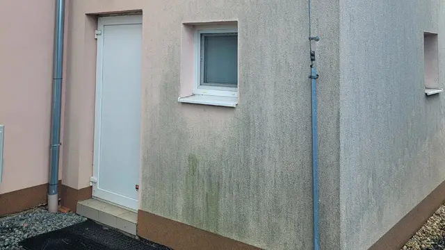 Fasáda rodinného domu znečištěná řasou a mechem